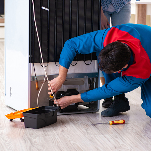 what are the common refrigerator repair services in Tiger